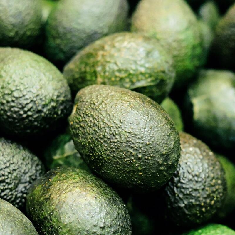 RAUSCH Farbschutz-Conditioner mit Avocado